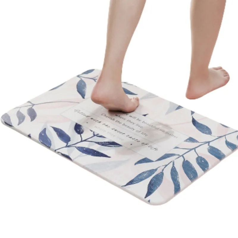 Diatom Mud Mat View 1