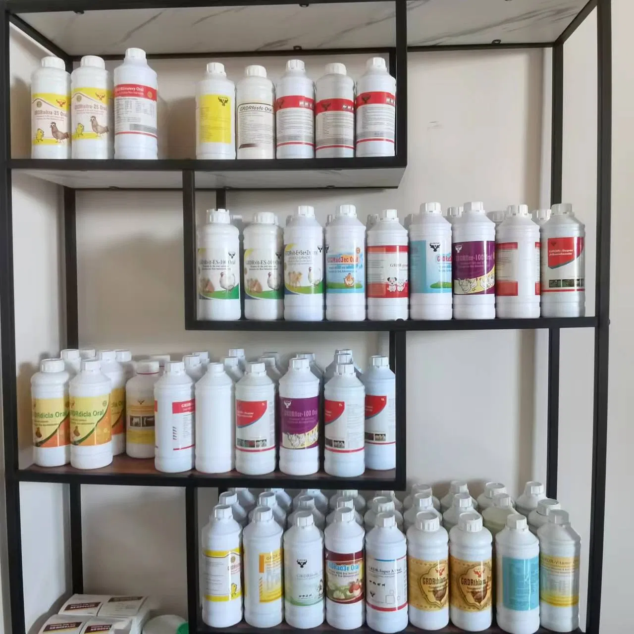 Natural Potency Wound Healing Essential Oil From Sambong (scientific name: Blumea balsamifera)