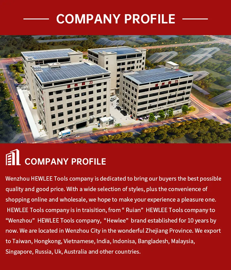 Perfil corporativo y capacidades