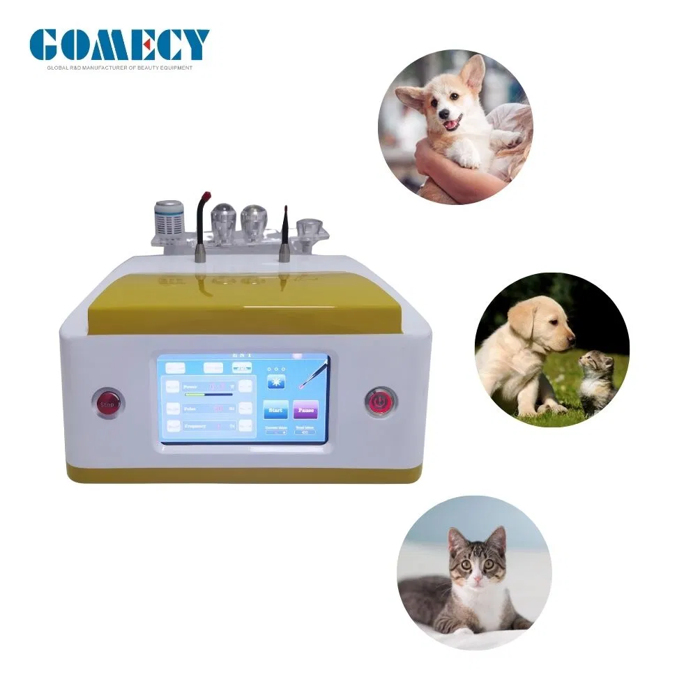 980nm 810nm 1064nm Dispositivo de Alivio del Dolor con Láser de Diodo para Mascotas Menos Ruido