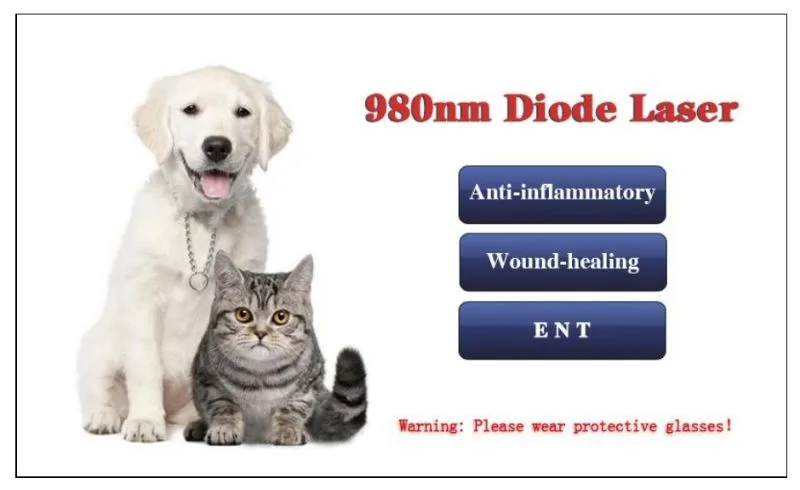 980nm 810nm 1064nm Dispositivo de Alivio del Dolor con Láser de Diodo para Mascotas Menos Ruido