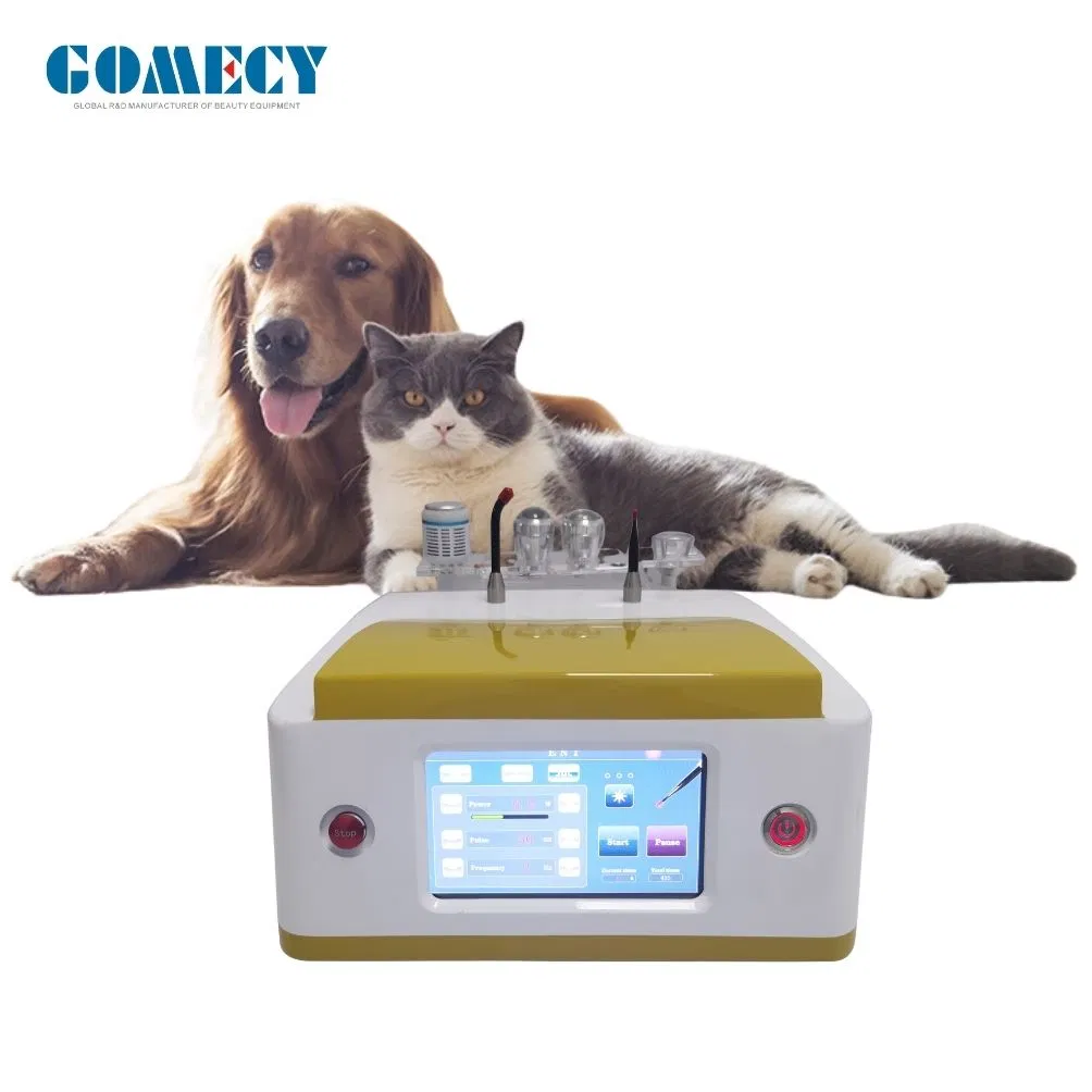 980nm 810nm 1064nm Dispositivo de Alivio del Dolor con Láser de Diodo para Mascotas Menos Ruido