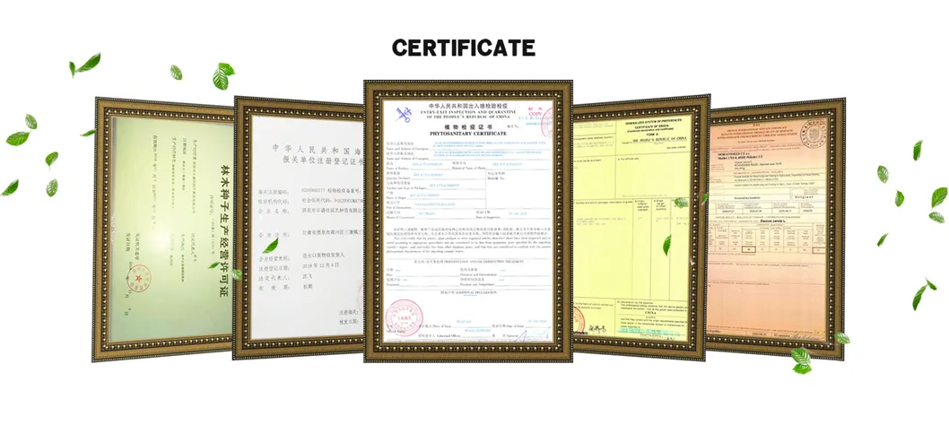 Certificados oficiales