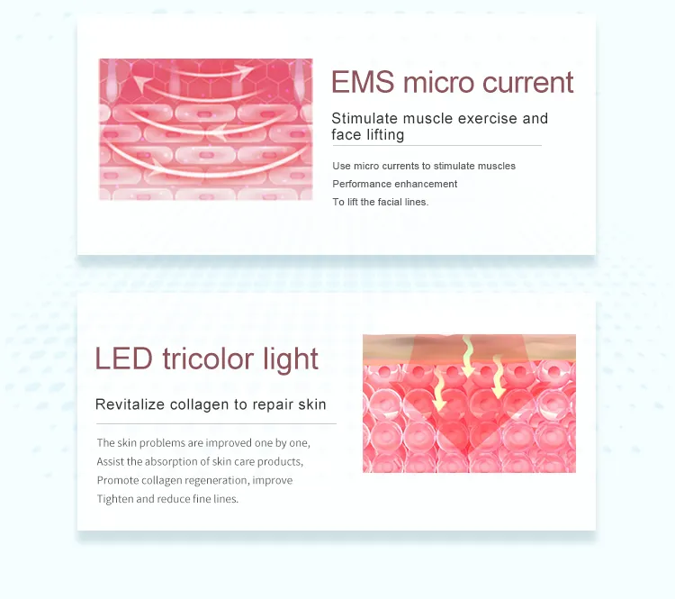Terapia de Luz LED Facial Masajeador EMS 7