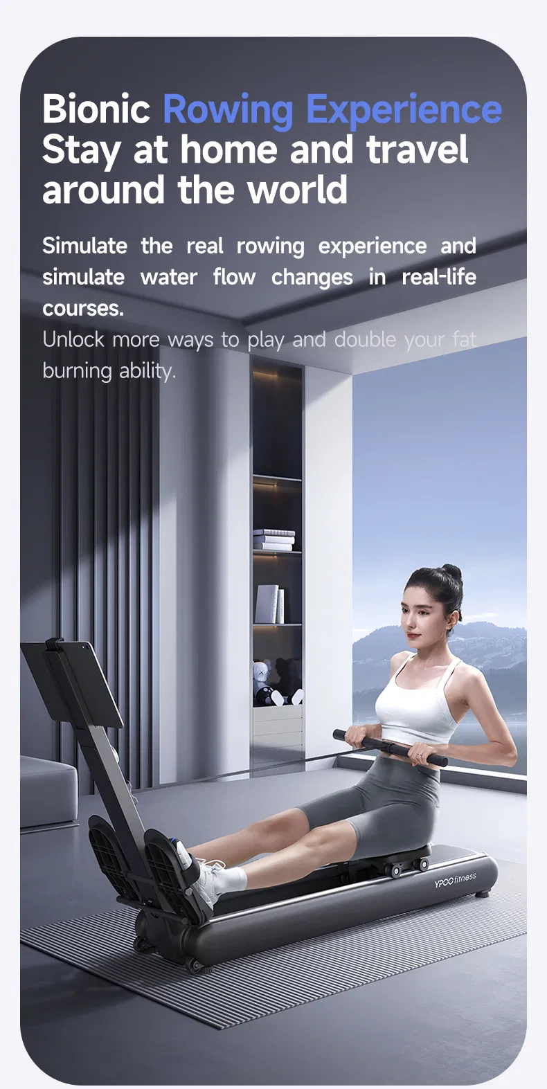 Rowing Machine Detail 5