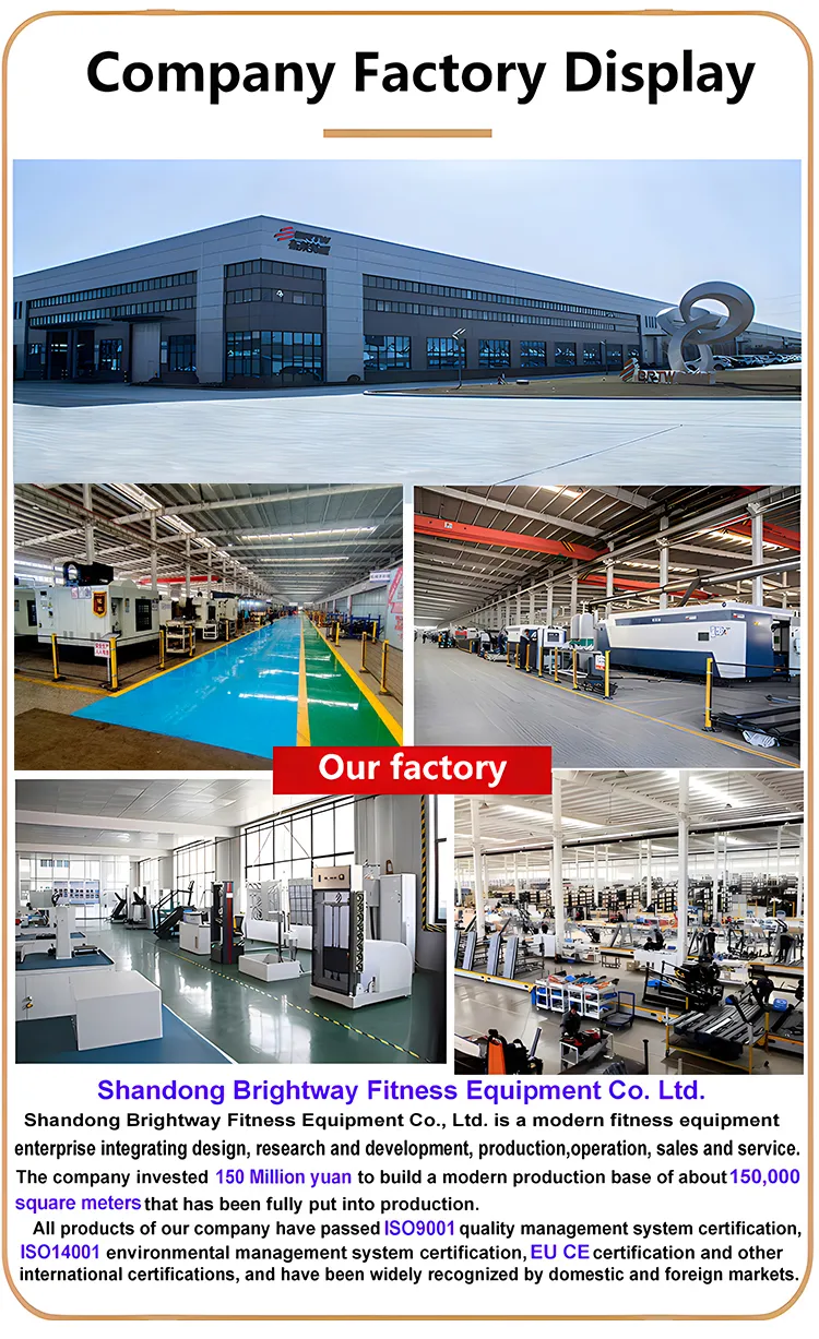 Steel Frame Structure