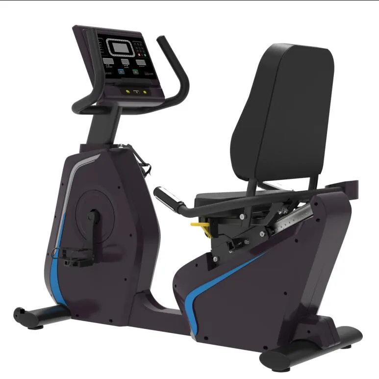 Commercial Recumbent Bike