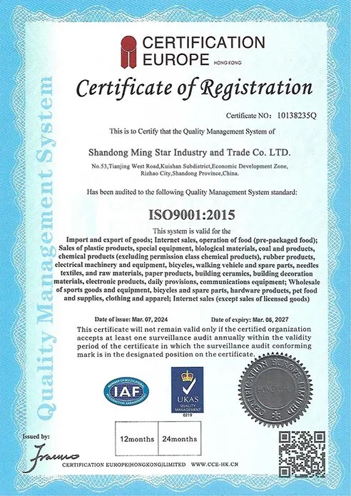 CE Certification 1