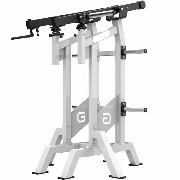 Viking Shoulder Press Machine