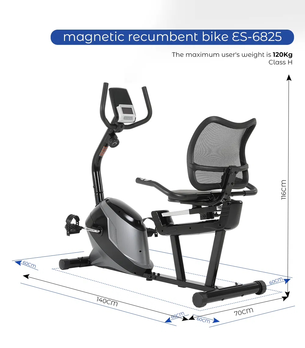 Recumbent Exercise Bike Detailed 1