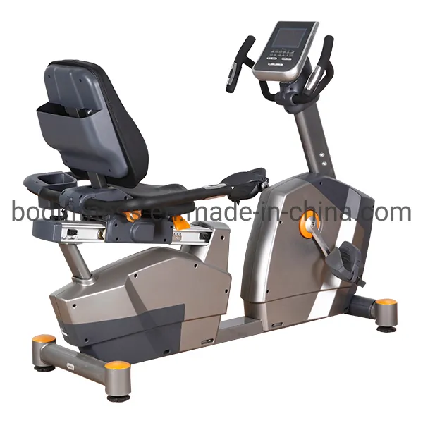 Recumbent Bike Front View