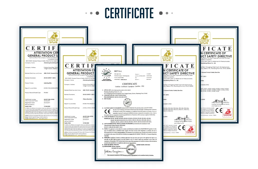 Functional Trainer 5