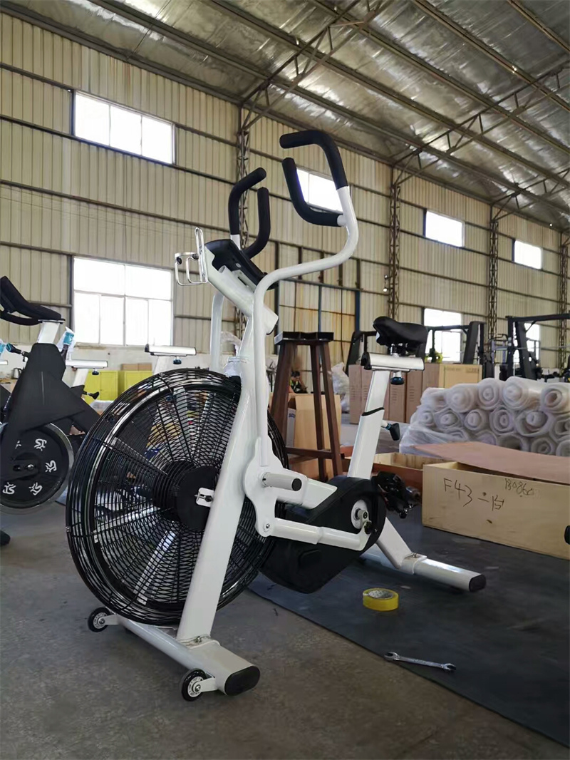 Cardio Machine Gym Home Training Indoor Air Resistance Bike