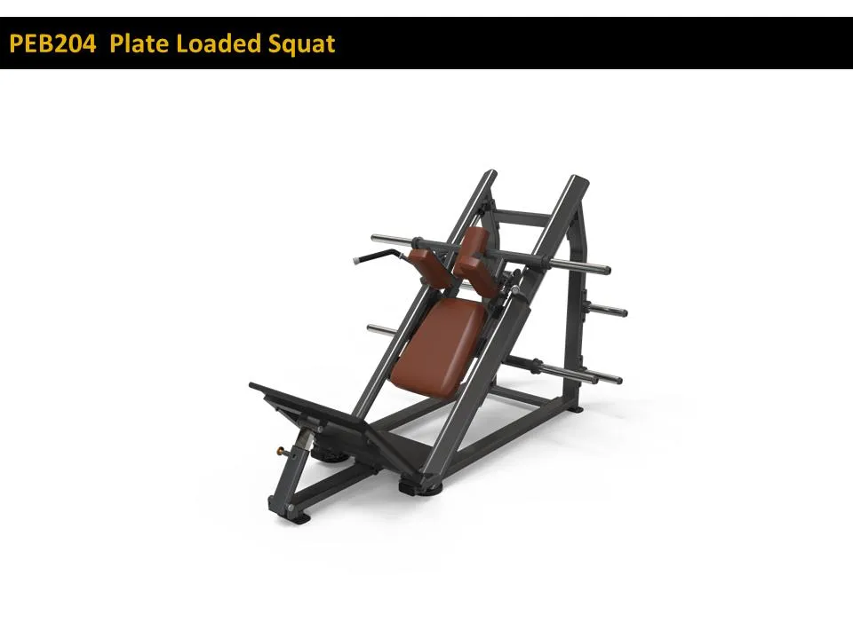 Hack Squat Machine