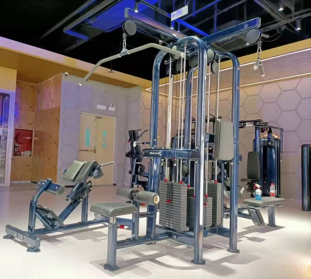 Multi Jungle 4 Stations 2