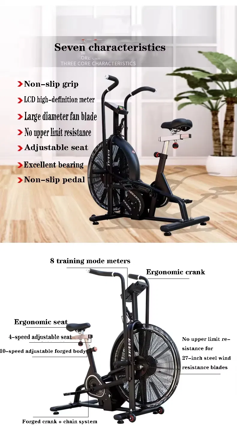 Professional Cardio Fan Bike