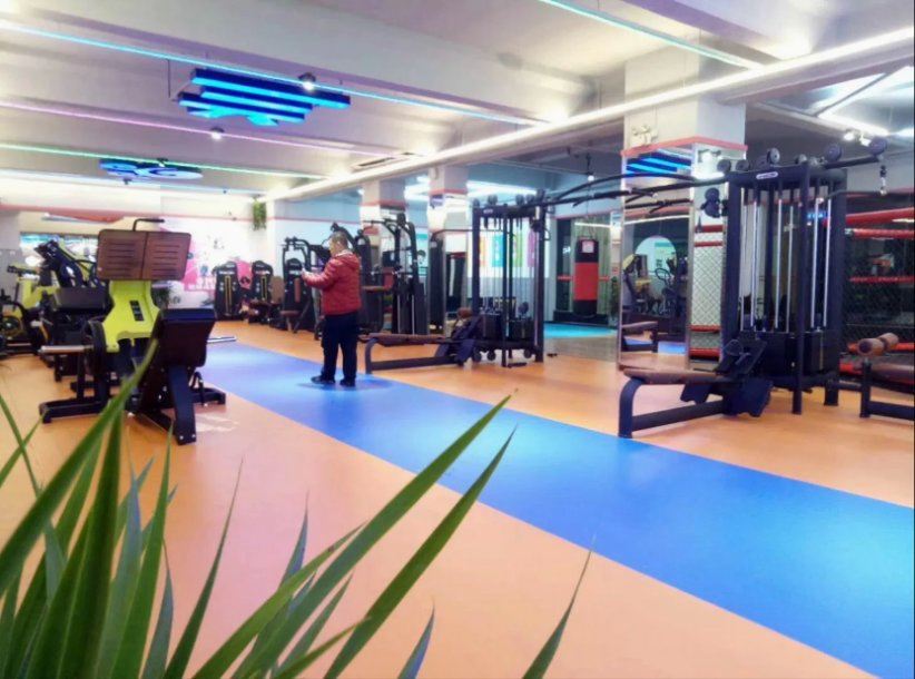 Wholesale Jungle Multi Functional Commercial Gym Equipment Pin Loaded Machine 8 Multi Station