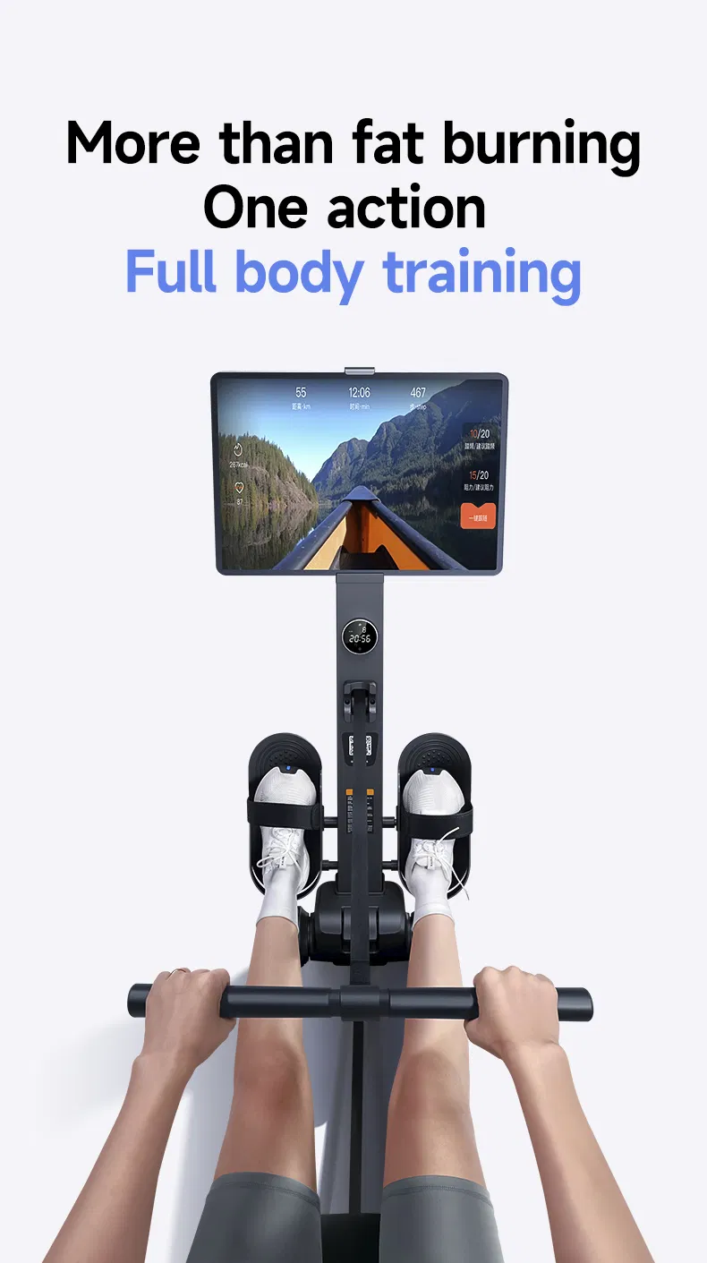 Rowing Machine Detail 6