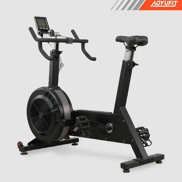 Aoyufit Fitness Equipment Exercise Bike Erg Air Resistance Bike Consult Erg Bike