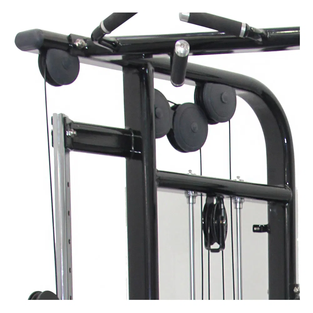 Commercial Fitness Equipment Dual Adjustable Pulley