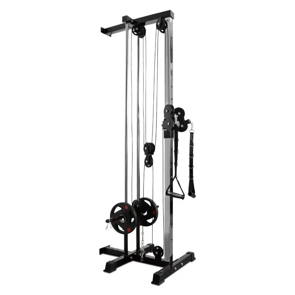 Wall-Mounted Machine Dual Pulley Plate Loaded Lat Pulldown Trainer for Home/Gym Strength