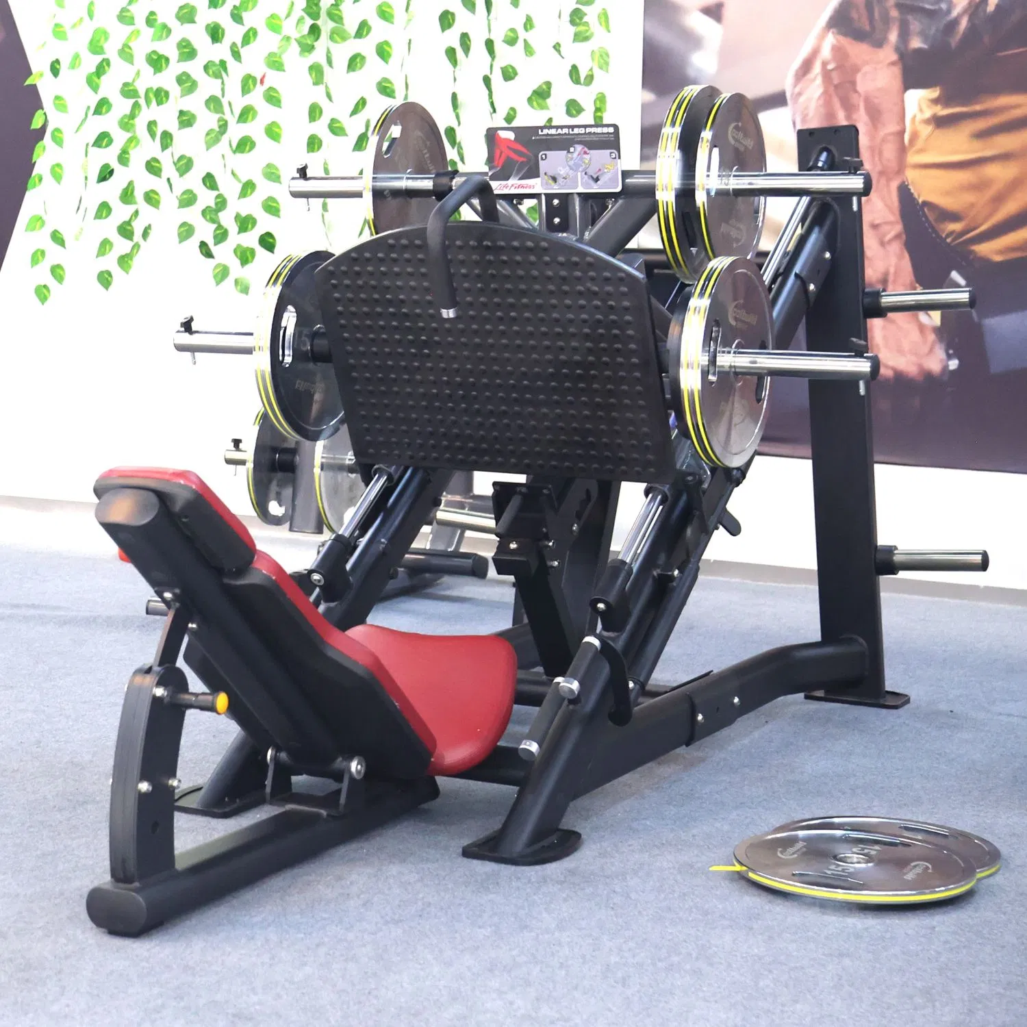 Professional Gym Equipment 45 Degree Plate Loaded Strength Machine Leg Press