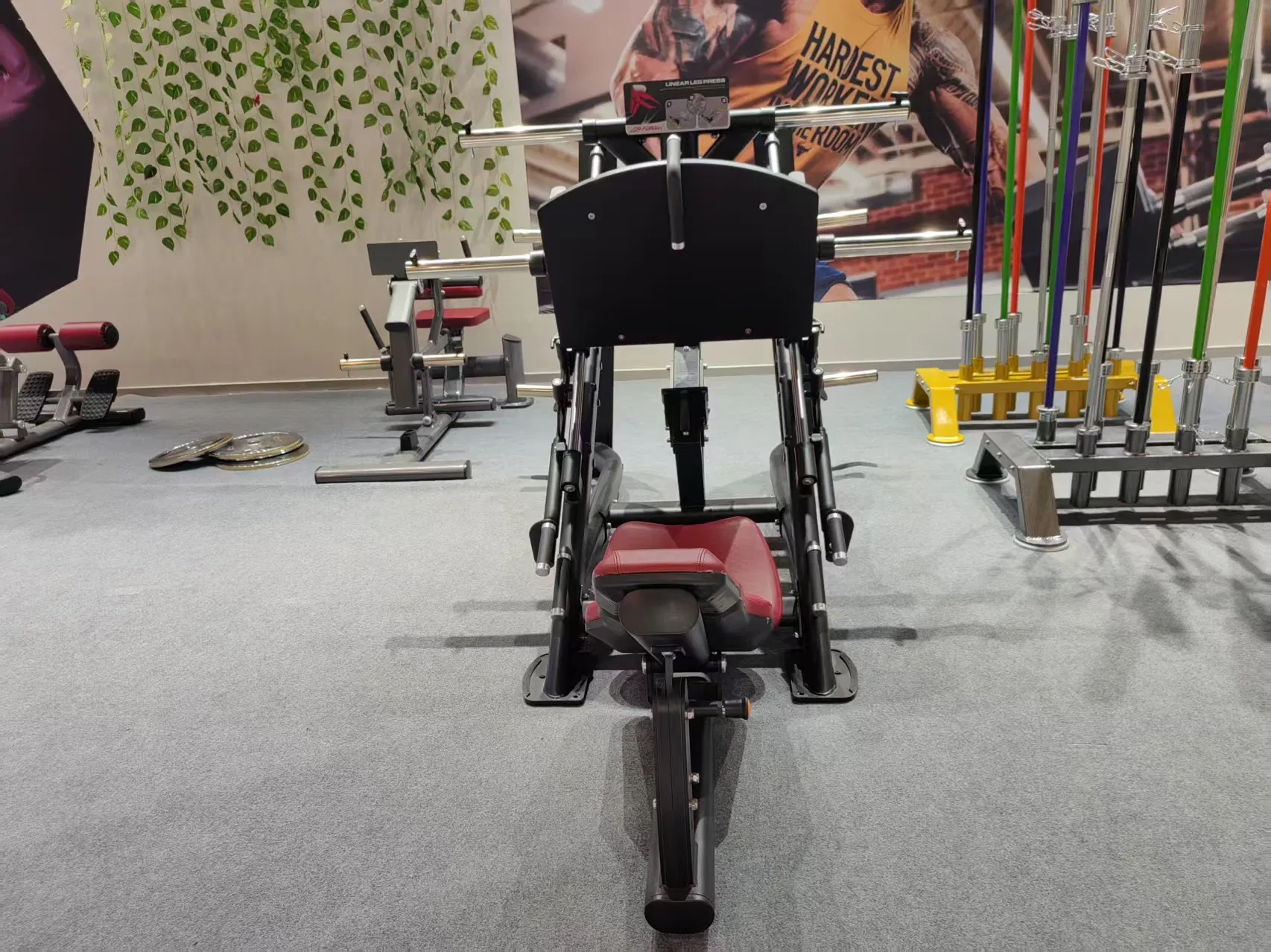 Strength Machine Leg Press View