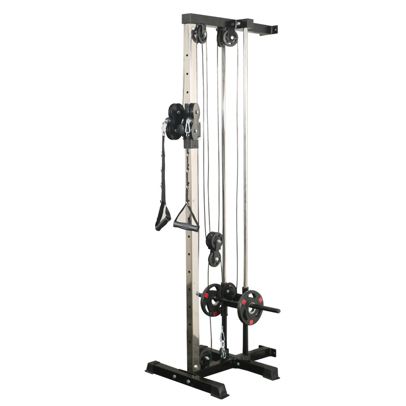 Wall-Mounted Machine Dual Pulley Plate Loaded Lat Pulldown Trainer for Home/Gym Strength