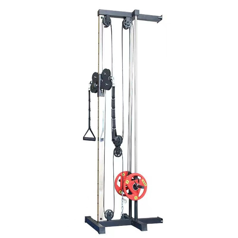 Wall-Mounted Machine Dual Pulley Plate Loaded Lat Pulldown Trainer for Home/Gym Strength