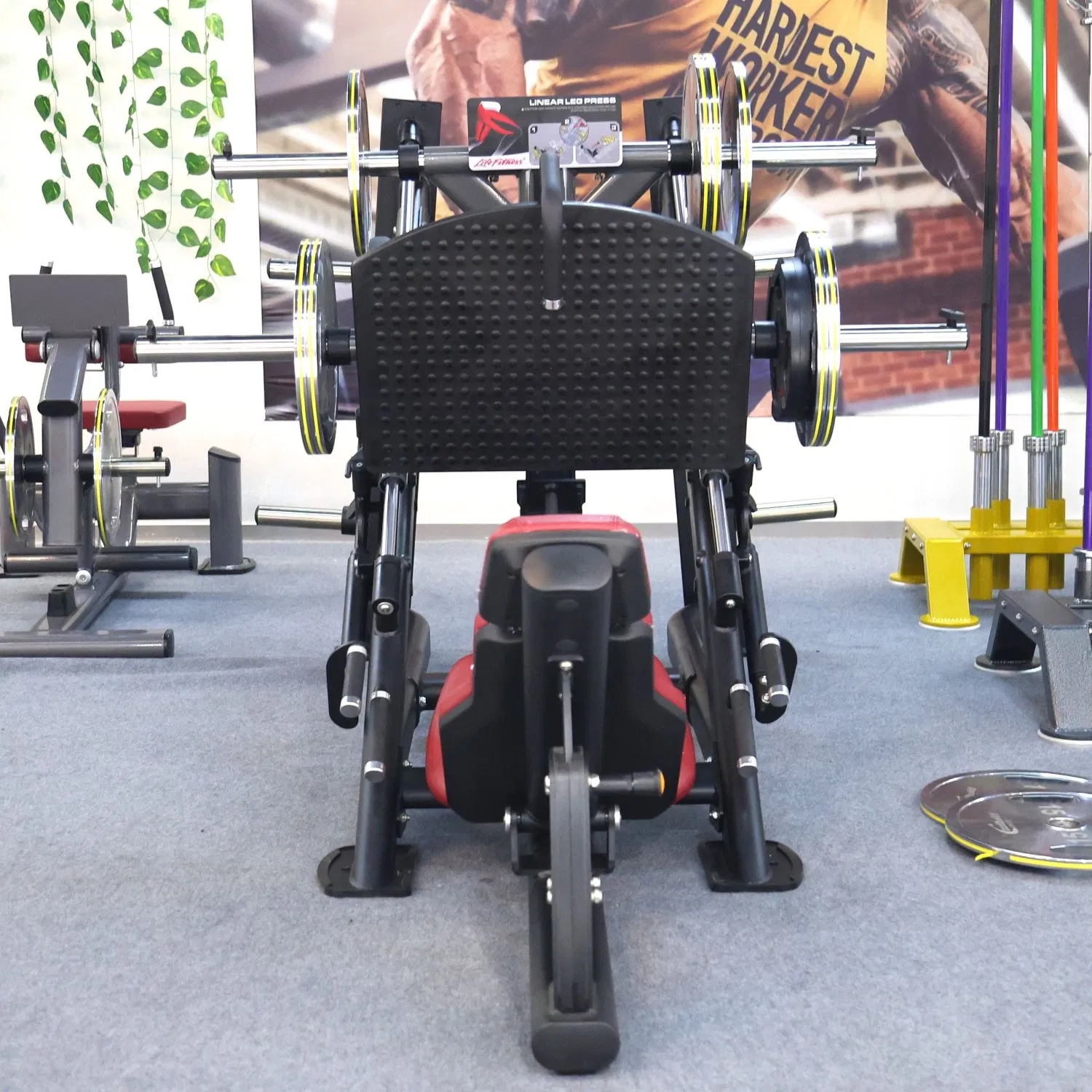 Professional Gym Equipment 45 Degree Plate Loaded Strength Machine Leg Press