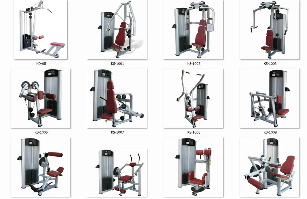 Gym Equipment Display 6