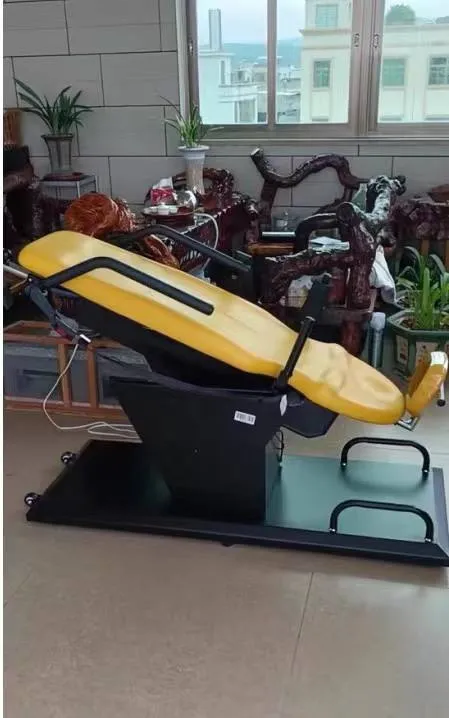 Electric Inversion Table View 5