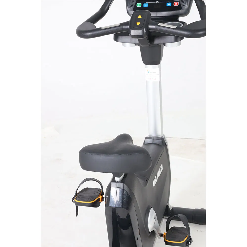 Exercise Bike Stationary Bike Foldable Magnetic Upright Recumbent Portable Fitness