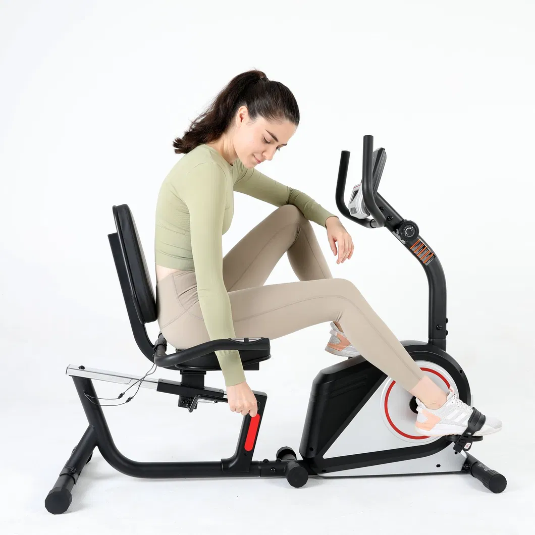 Recumbent Bike Detail