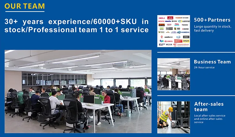 Our Professional Team