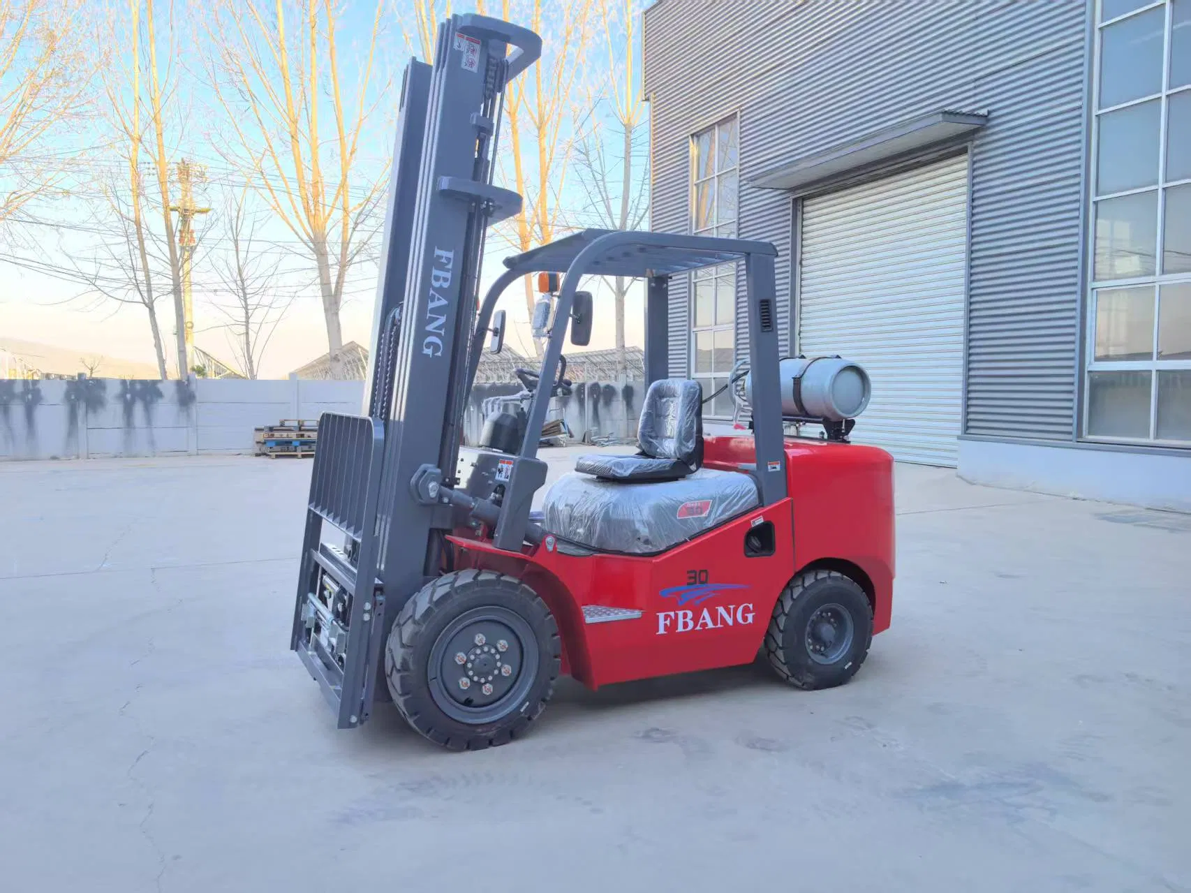 Fbang Fork-Lift Compact Truck Forklift Small Gas LPG 3 Ton Gasolina 2 Toneladas Forklift Truck 3tons 2.5ton Gasoline
