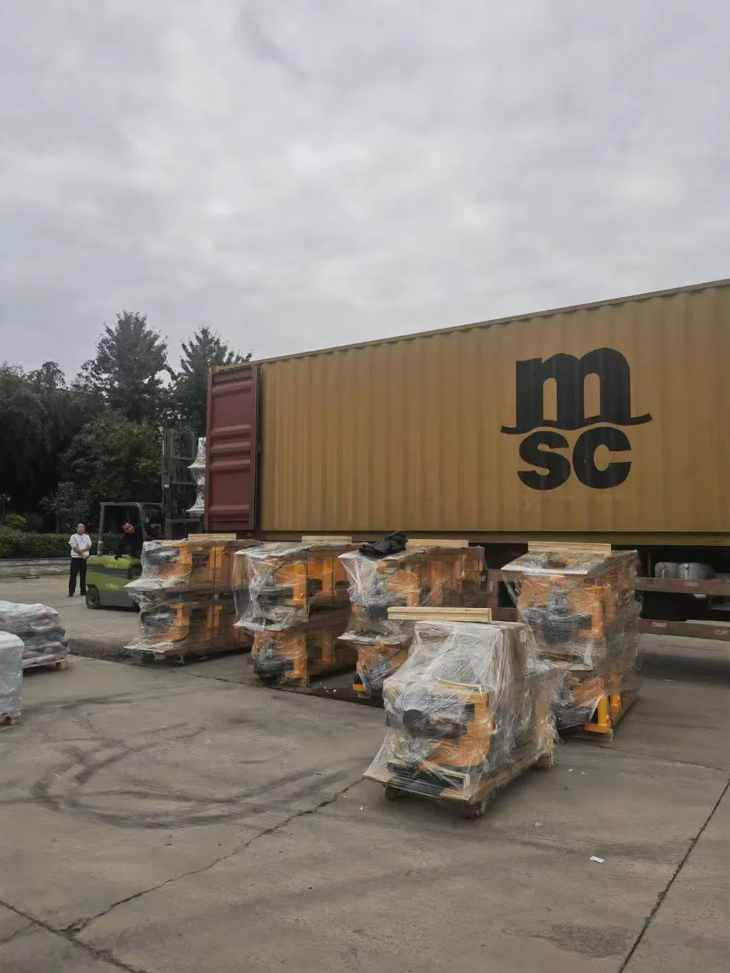 Electric Forklift Side View