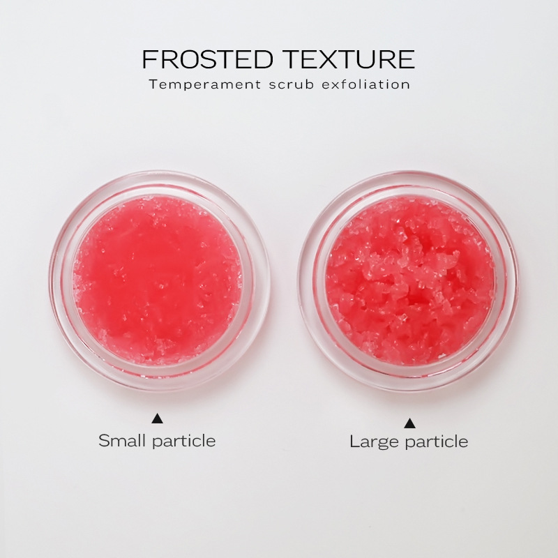 Custom Fruit Lip Care Vegan Make up 2 in 1 Coconut Exfoliating Balm Lip Scrub and Lip Mask Set