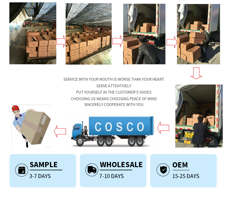 Shipping and Logistics