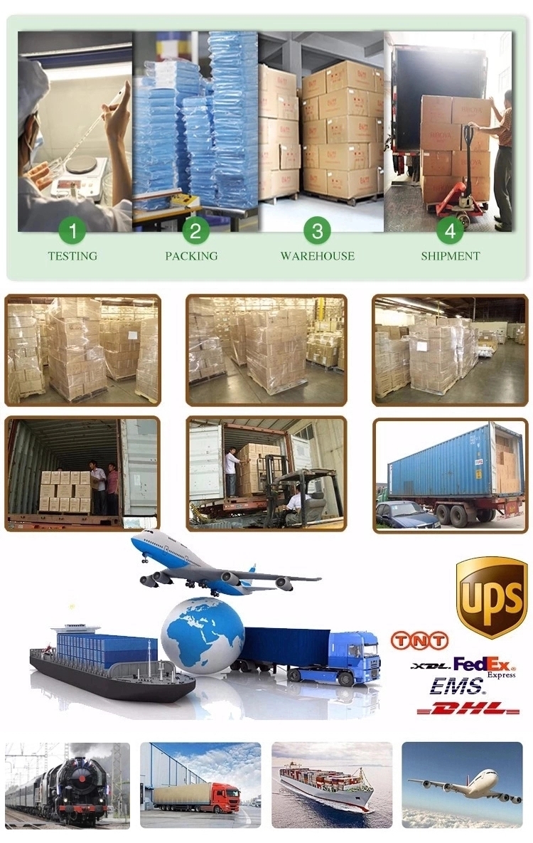 Packaging and Shipping Process