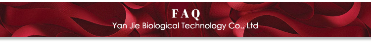 FAQ Header