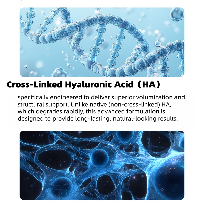 Private Label Pure Cross-linked Hyaluronic Acid Ha Serum Ampoules For Lips Augmentation Plumper And Anti Wrinkles Remover Care