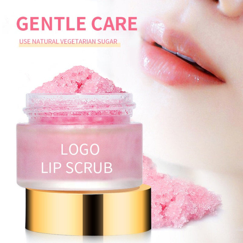 Factory Wholesale Organic Vegan Fruit Lip Scrub OEM 2 in 1 Lip Scrub Skin Care Repairing Skin Smooth Moisturizing Lip Balm