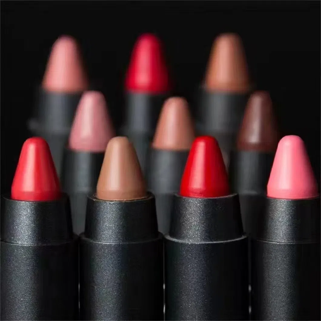 19 Color Lip Stick Kit Waterproof Matte Velvet Lip Liner Pencil Custom Private Label for Makeup Cosmetics No Logo