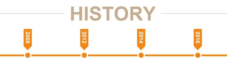Business Development Timeline