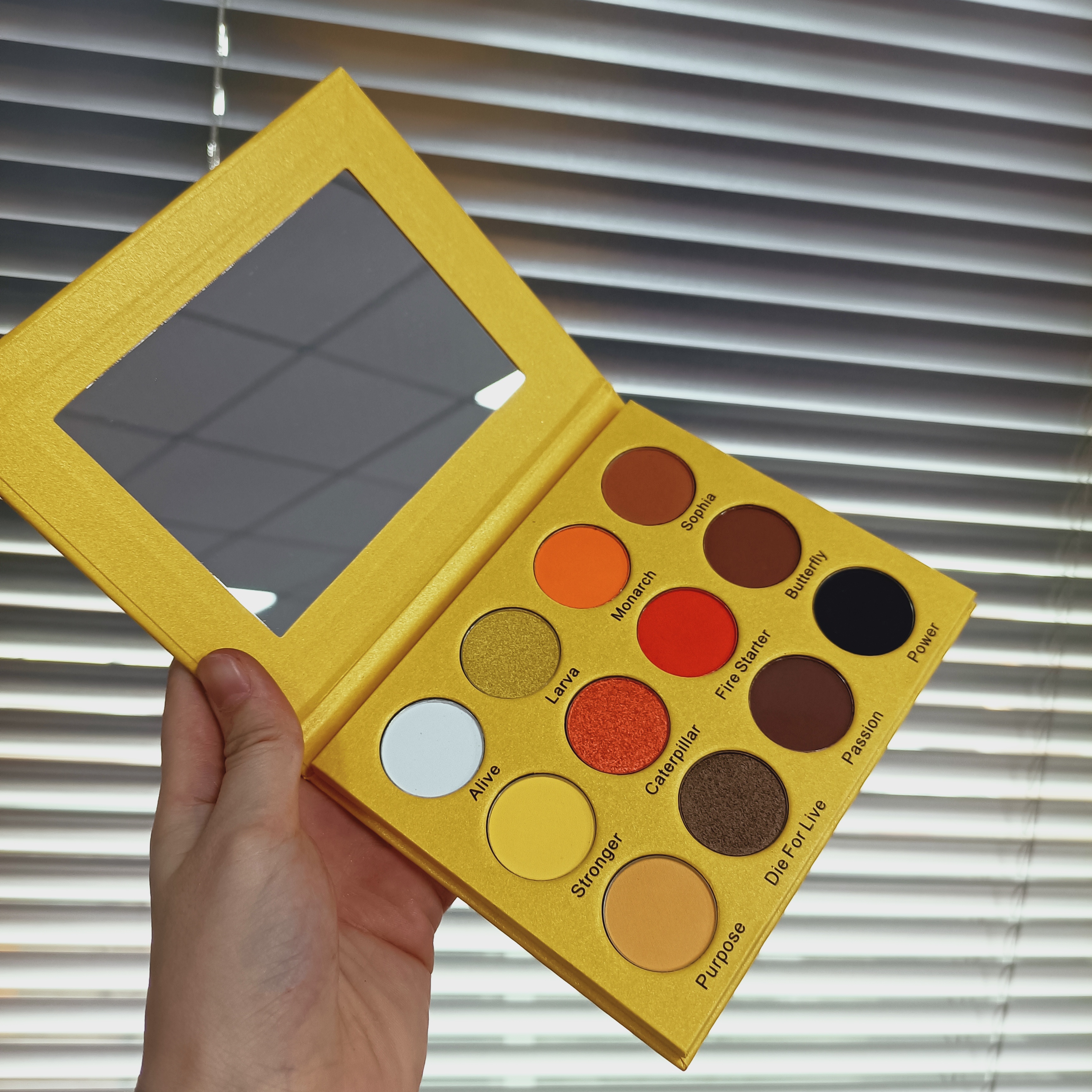 Eyeshadow Layout Palette
