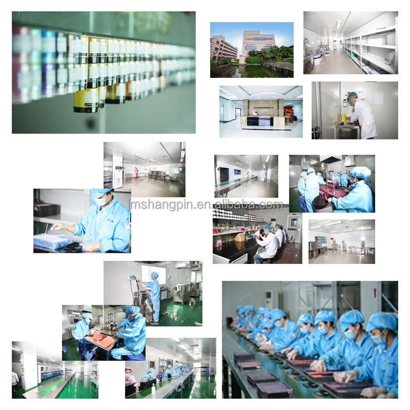 Manufacturing Plant Overview