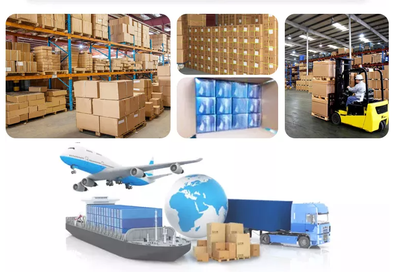 Logistics and Packing Options