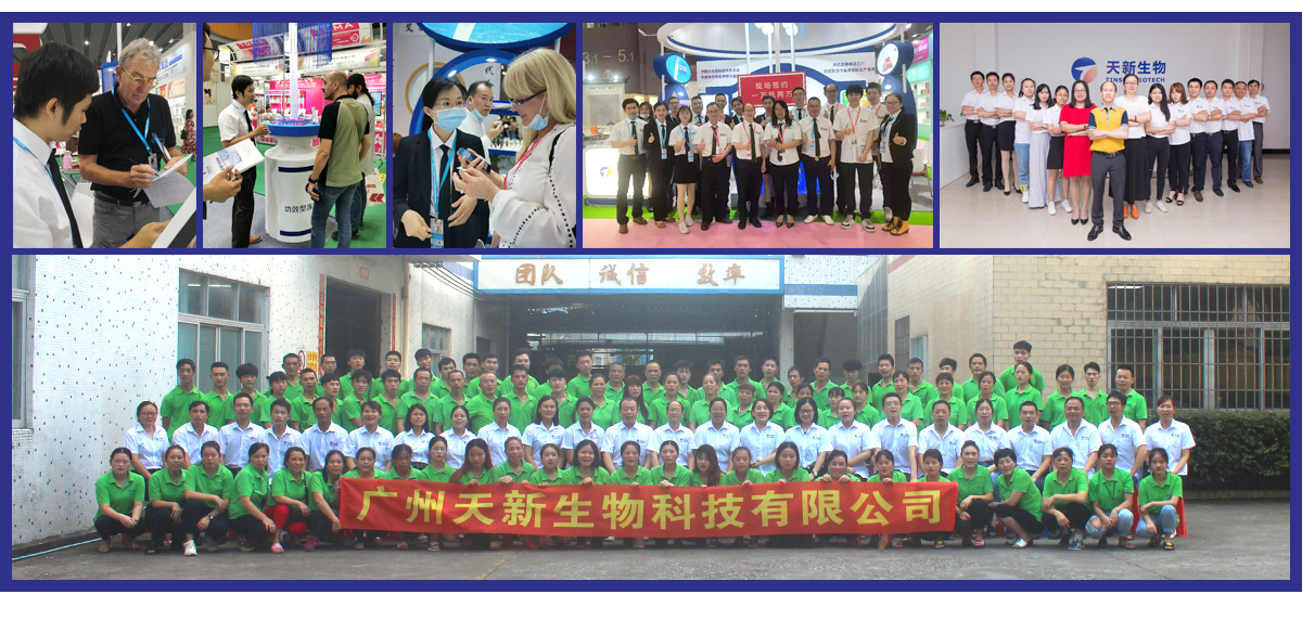 Our Team