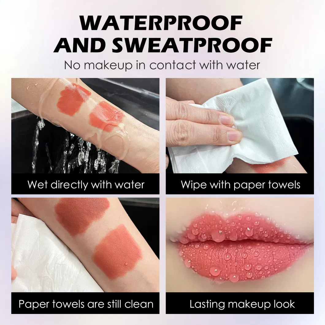 Factory Price Custom Logo Lipstick Stain Set